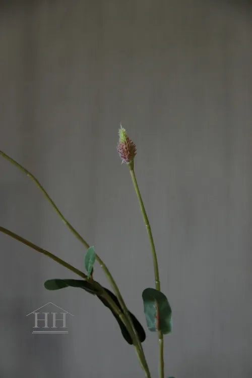 Ptilotus kunsttak - 69 cm