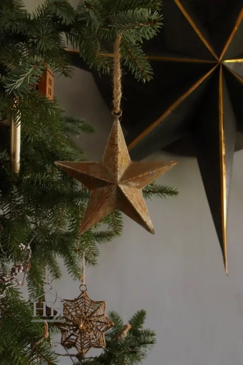 Robuuste roestige ster S