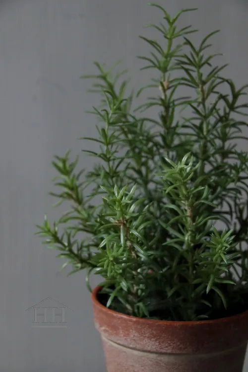 Rozemarijn kunstplant 28cm in binnenpot