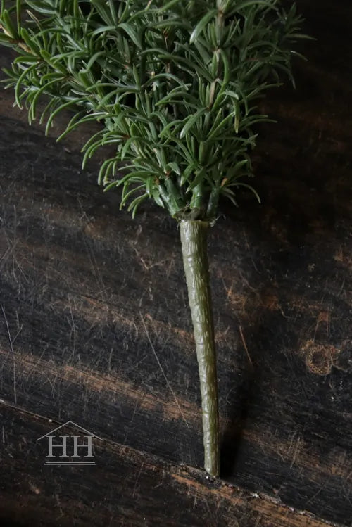 Rozemarijn kruidenplantje op steker 32cm