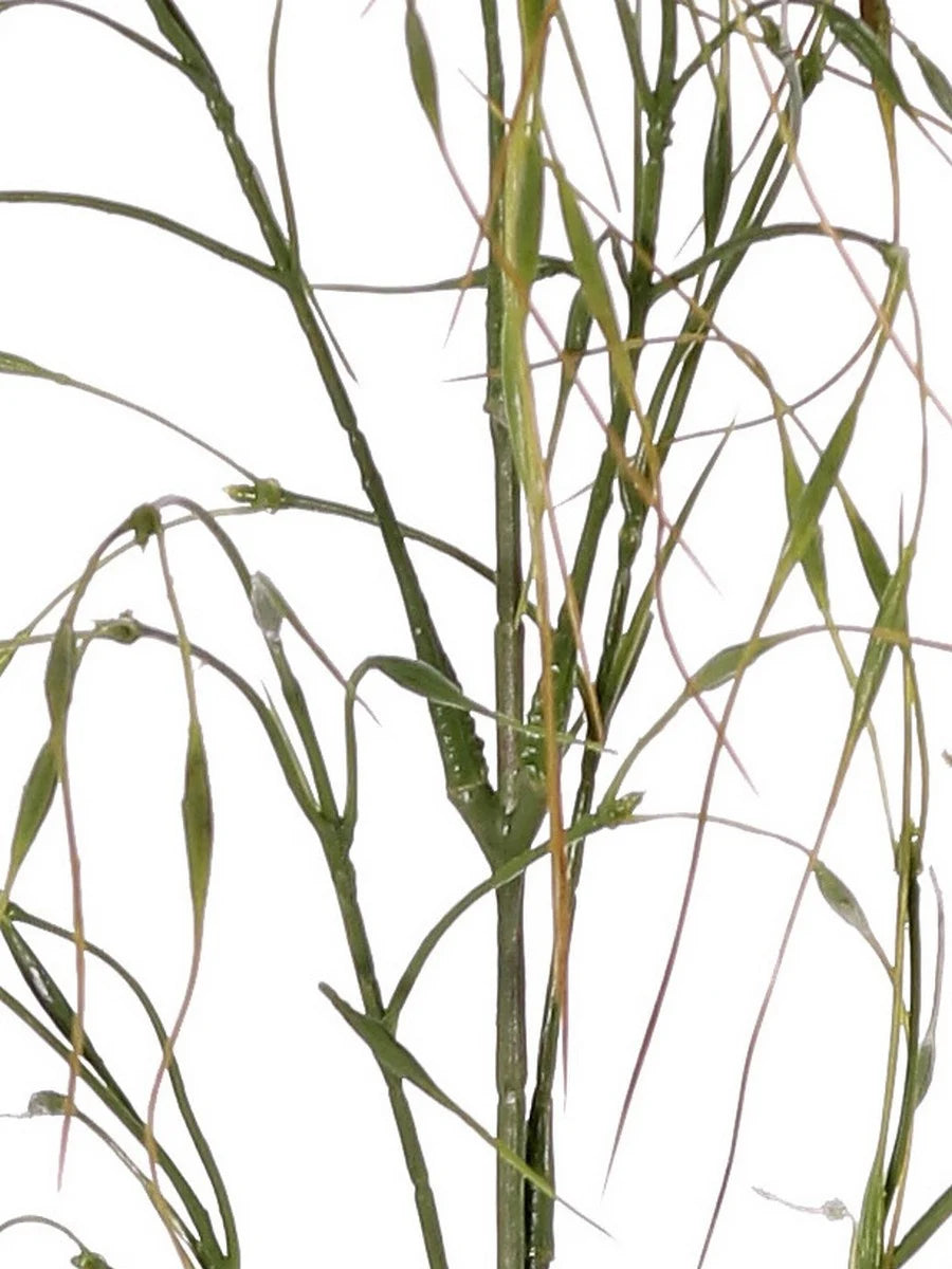 Siergras kunsttak groen - 78 cm