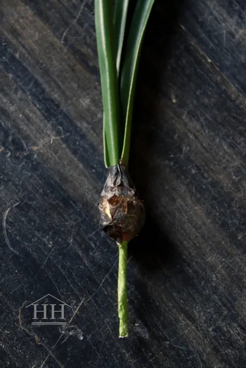 Künstliches Schneeglöckchen auf einer Kugel, 30 cm