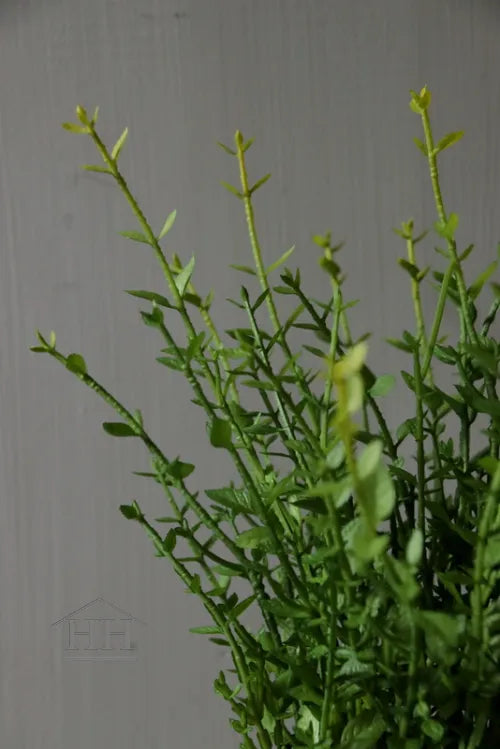 Tijm kunstplant 26cm in zwarte binnenpot