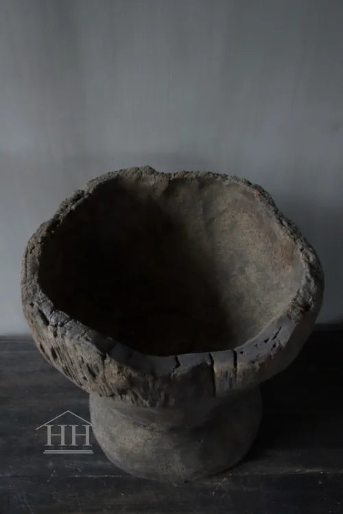 Vergrijsde vijzel Luksa (A1)