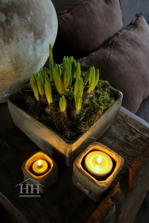 Betonnen bak vierkant XL eigen label Hillary'sHome