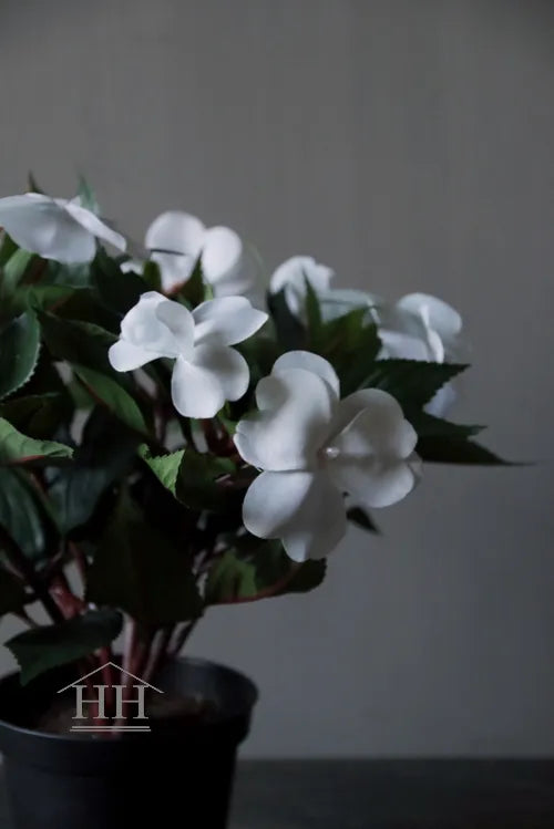 Vlijtig liesje kunstbloem wit in een potje