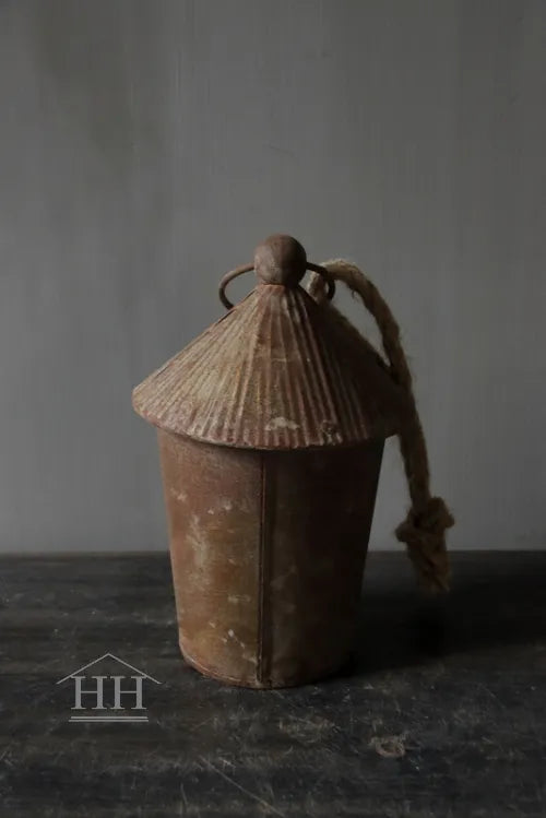 Zink-Vogelhausrost S