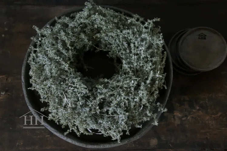 Asparagus waxkrans 25-28cm met lampjes