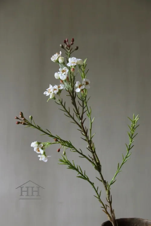 Kunstbloem wax flower 71 cm wit