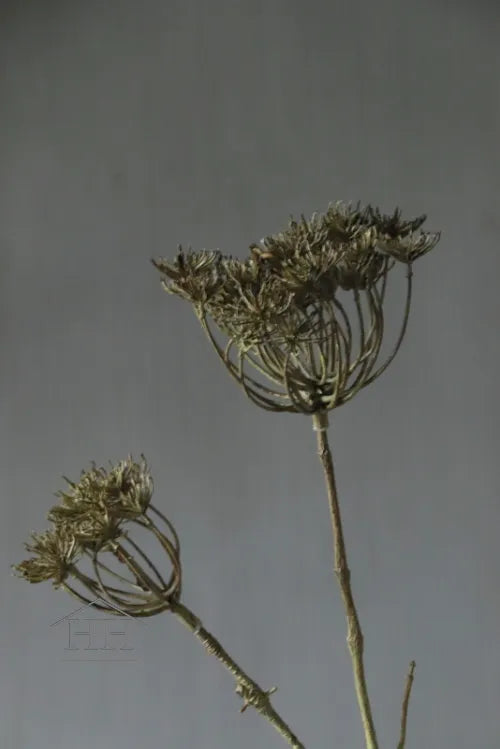 Wilde wortel kunsttak - 95 cm