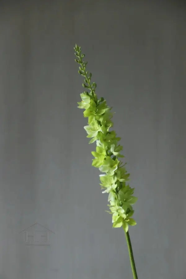 Zijden bloem foxtail groen