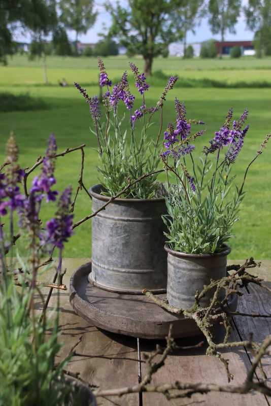 Zinken pot recht - 20 cm