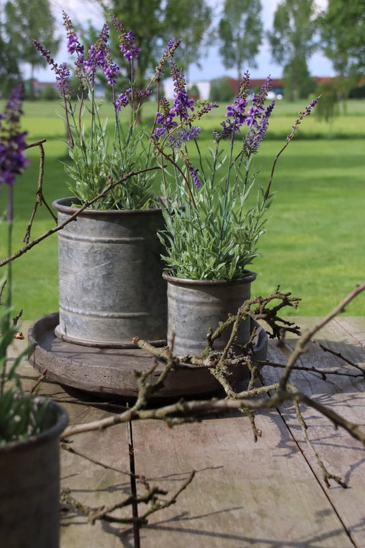 Zinken pot recht - 12 cm