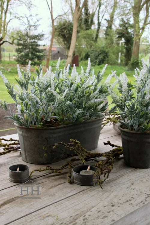 Zinkschale - oval - mittel