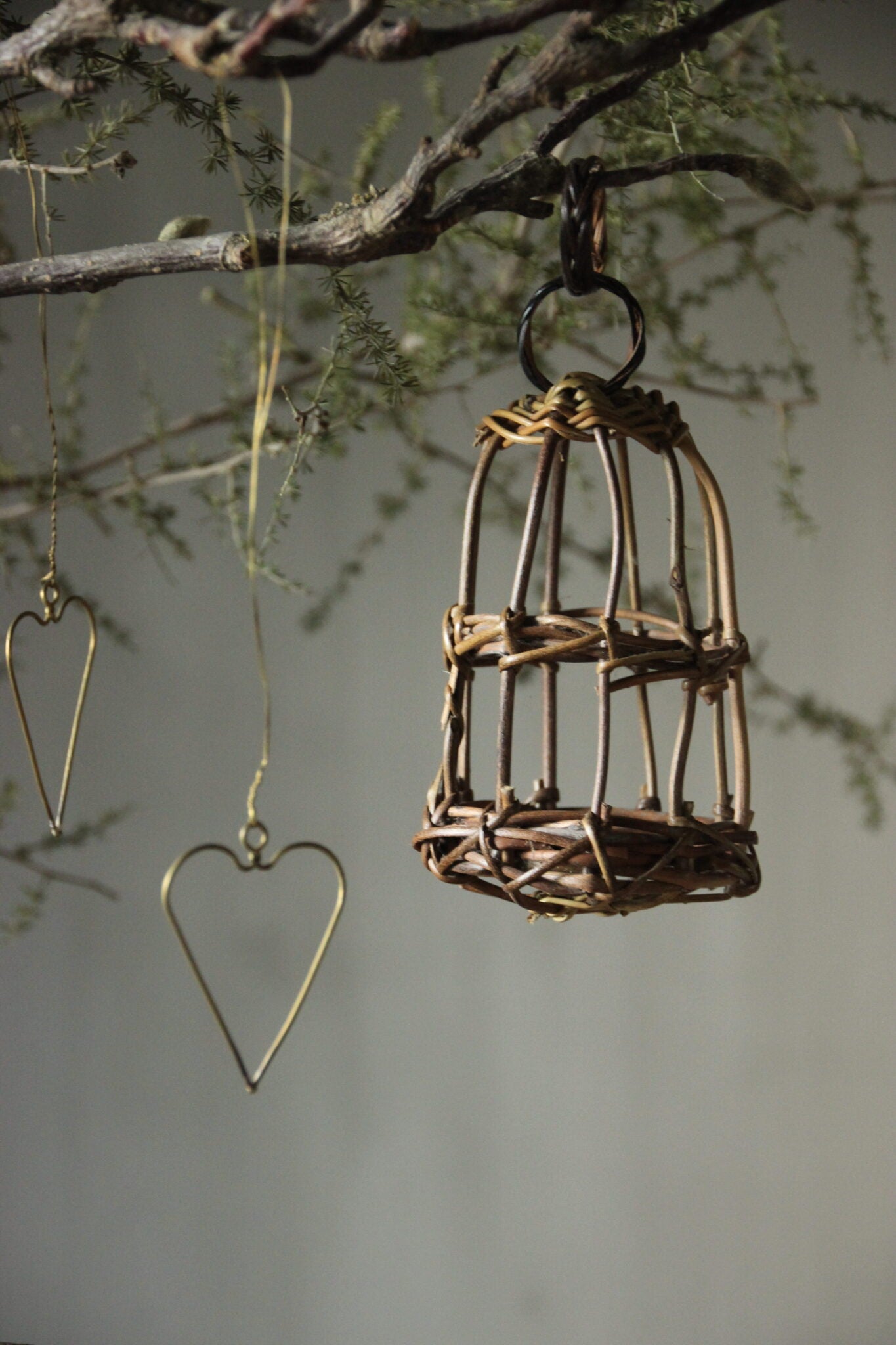 Gevlochten vogelkooi