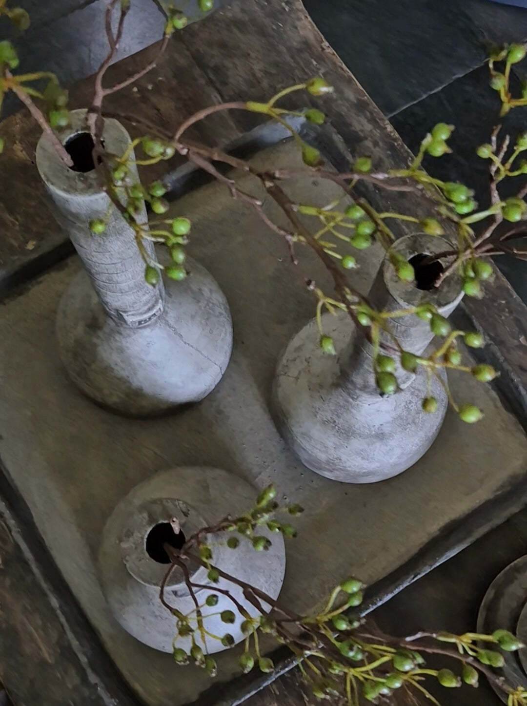 Kunst rozenbottel takken in betonnen vazen