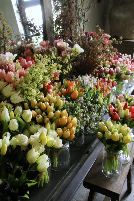 Künstliche Tulpen kaufen? – Page 3 – Hillary'sHome B.V