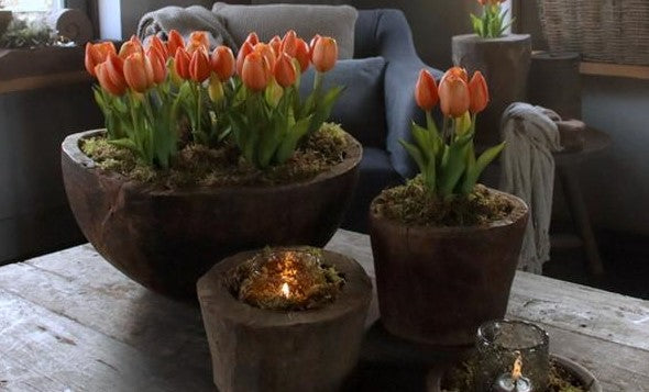 Nep tulpen in stoere tinten in de webshop van Hillary'sHome