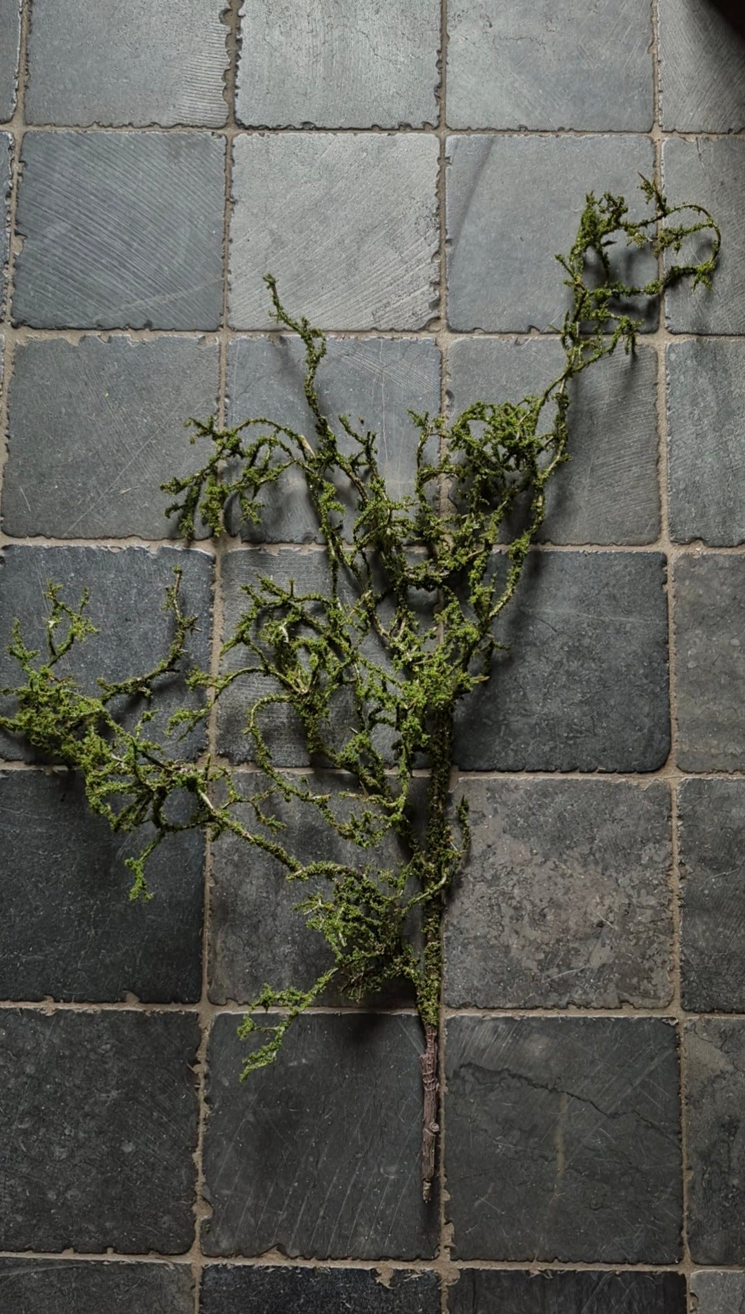 Kunst mostak slinger groen 90cm