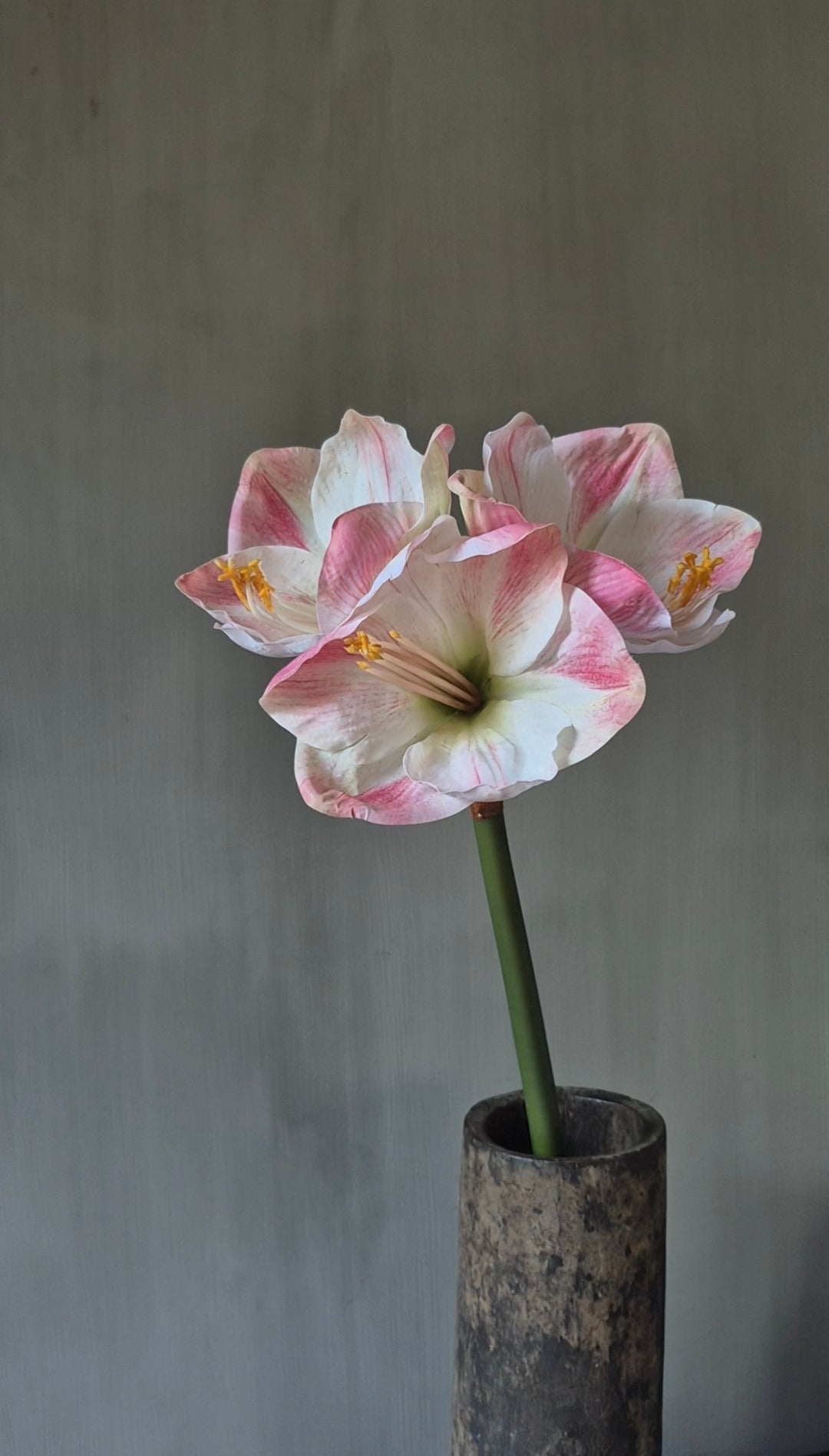 Amaryllis kunstbloem roze met wit real touch - 65 cm