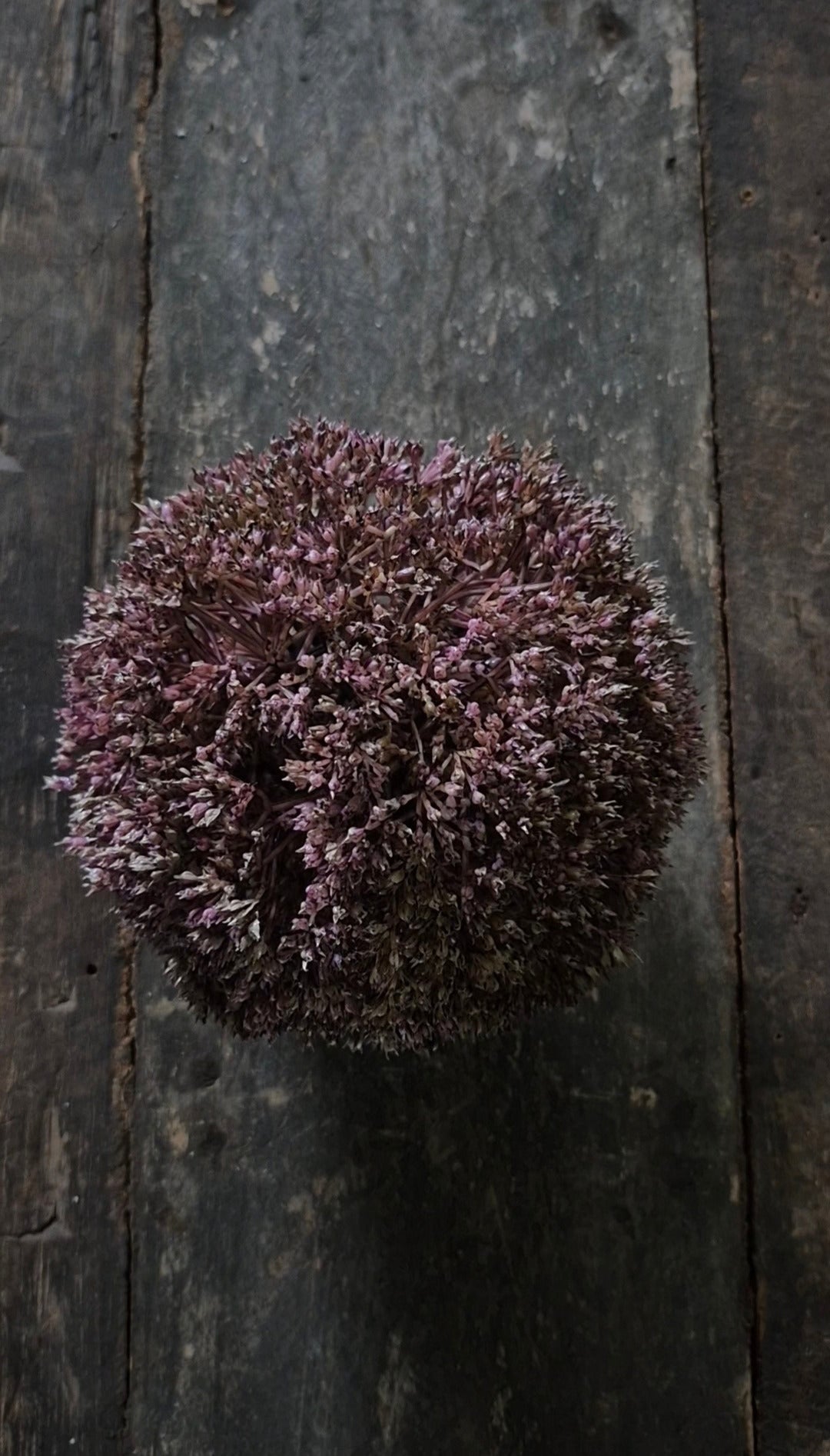 Artificial Eupatorium ball purple 15 cm