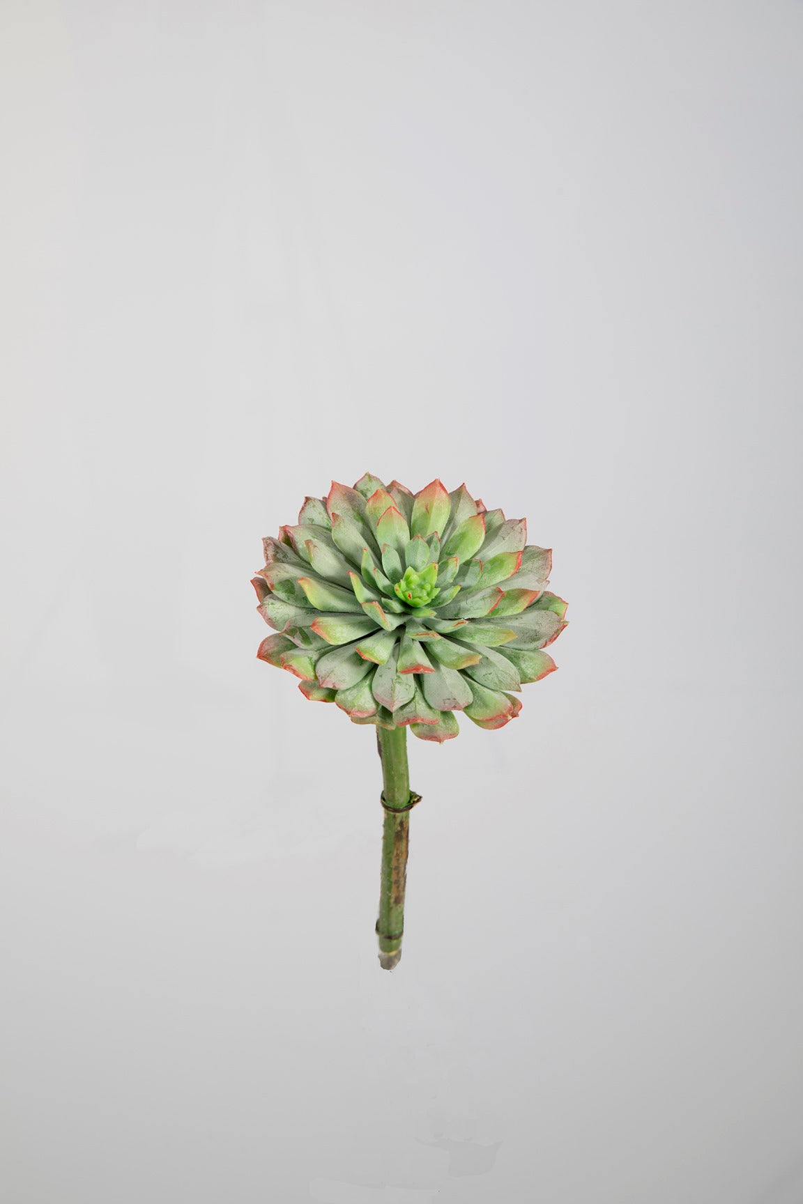 Kunst vetplant echeveria groen oranje - 10 cm
