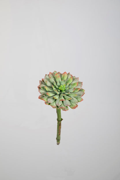 Kunst vetplant echeveria groen bordeauxrood - 10 cm
