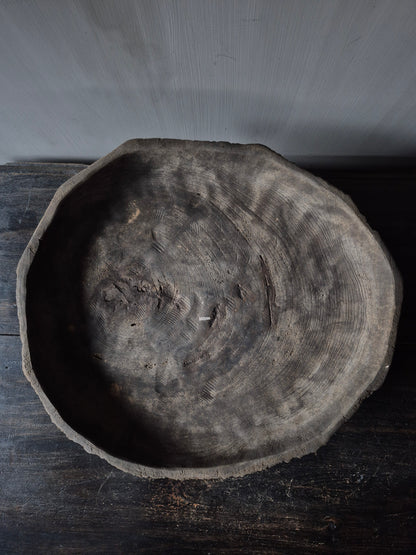 Unieke schaal Susi op voet - Luksa (nr 2)