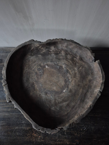 Unieke schaal Susi op voet - Luksa (nr 3)