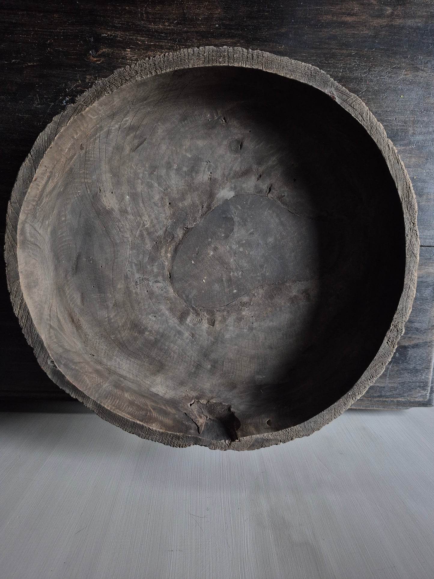 Unieke schaal Susi op voet - Luksa (nr 5)