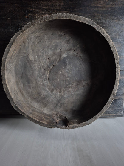 Unieke schaal Susi op voet - Luksa (nr 5)