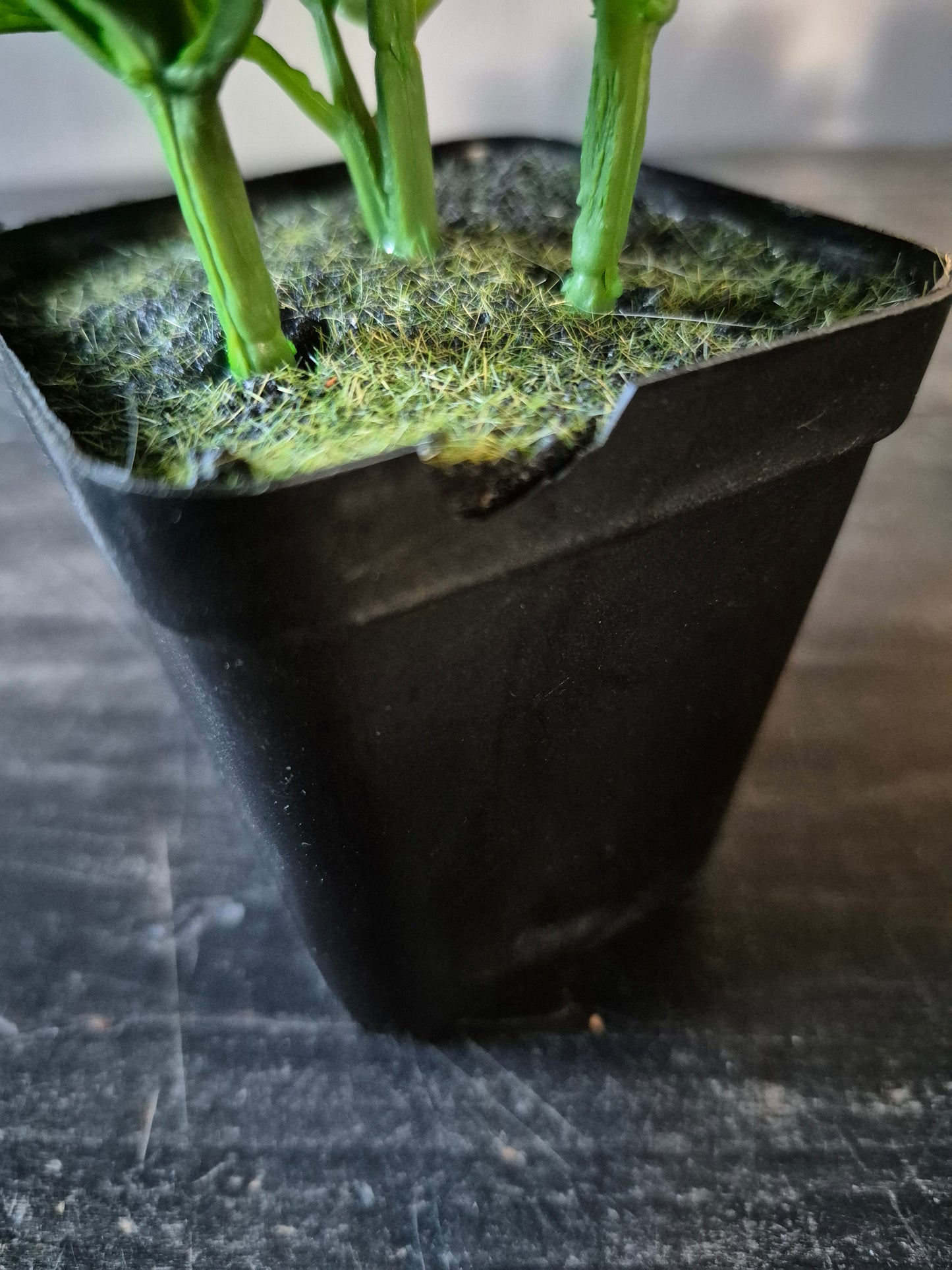 Munt kunstplant 25cm in beschadigde zwarte binnenpot