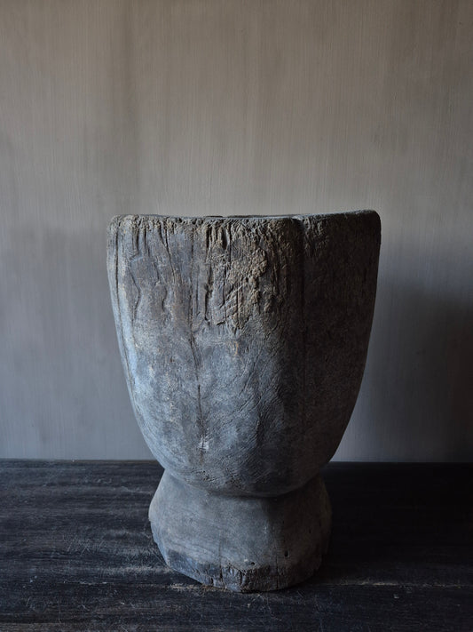 Vergrijsde vijzel Luksa (A6)