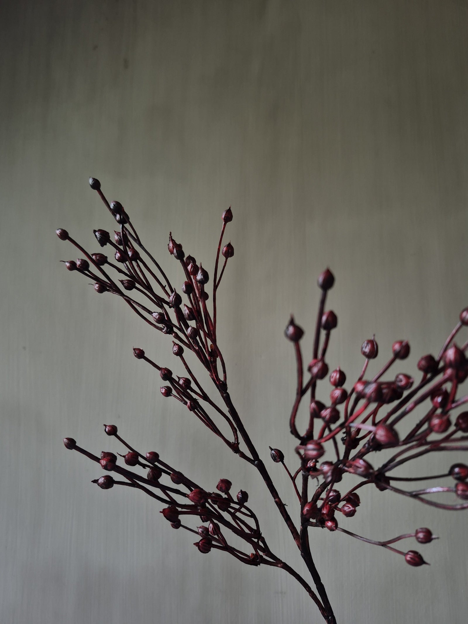 Leinsamen-Kunstzweig bordeauxrot – 66 cm