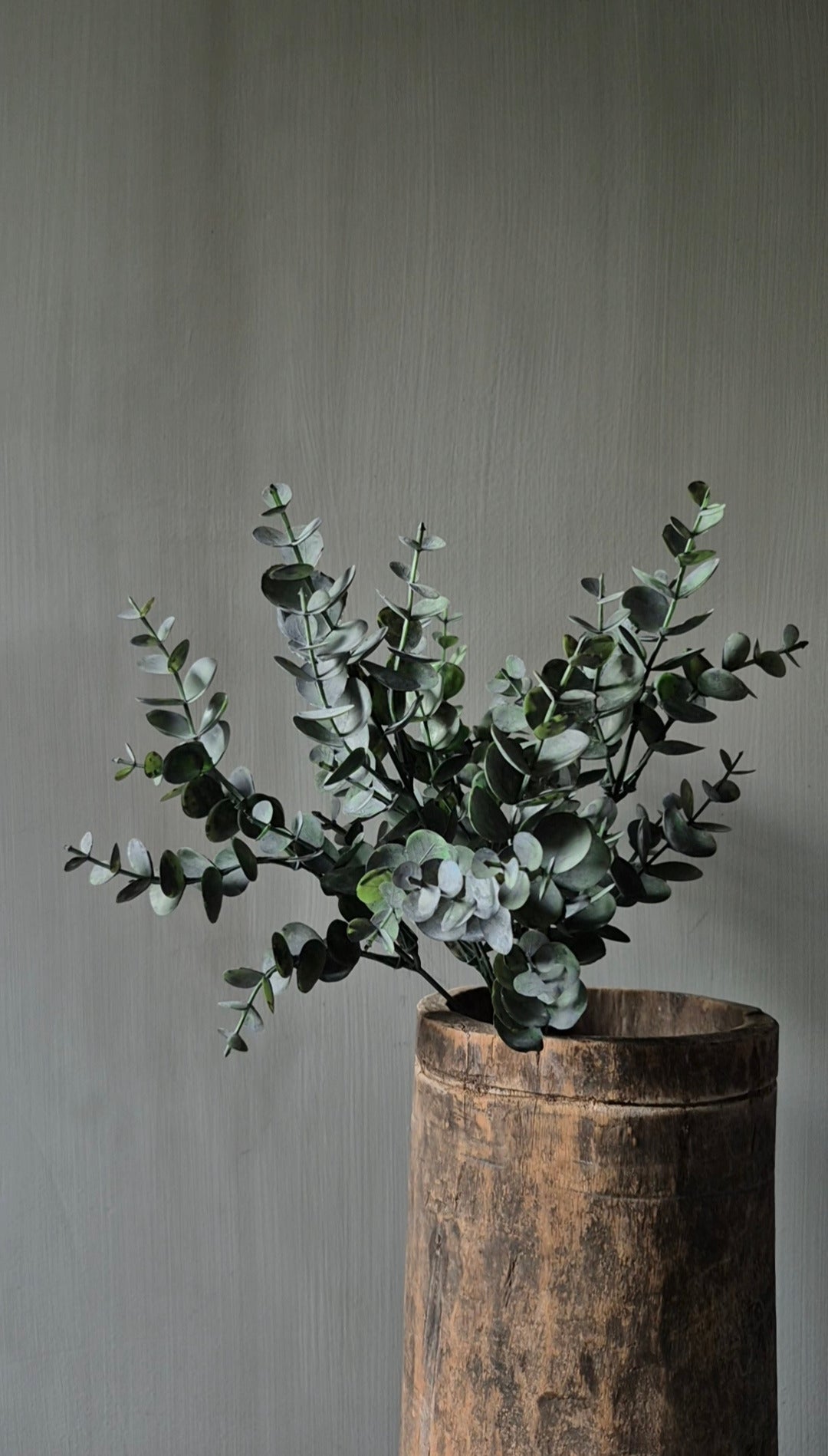 Eucalyptus bos groen 35 cm