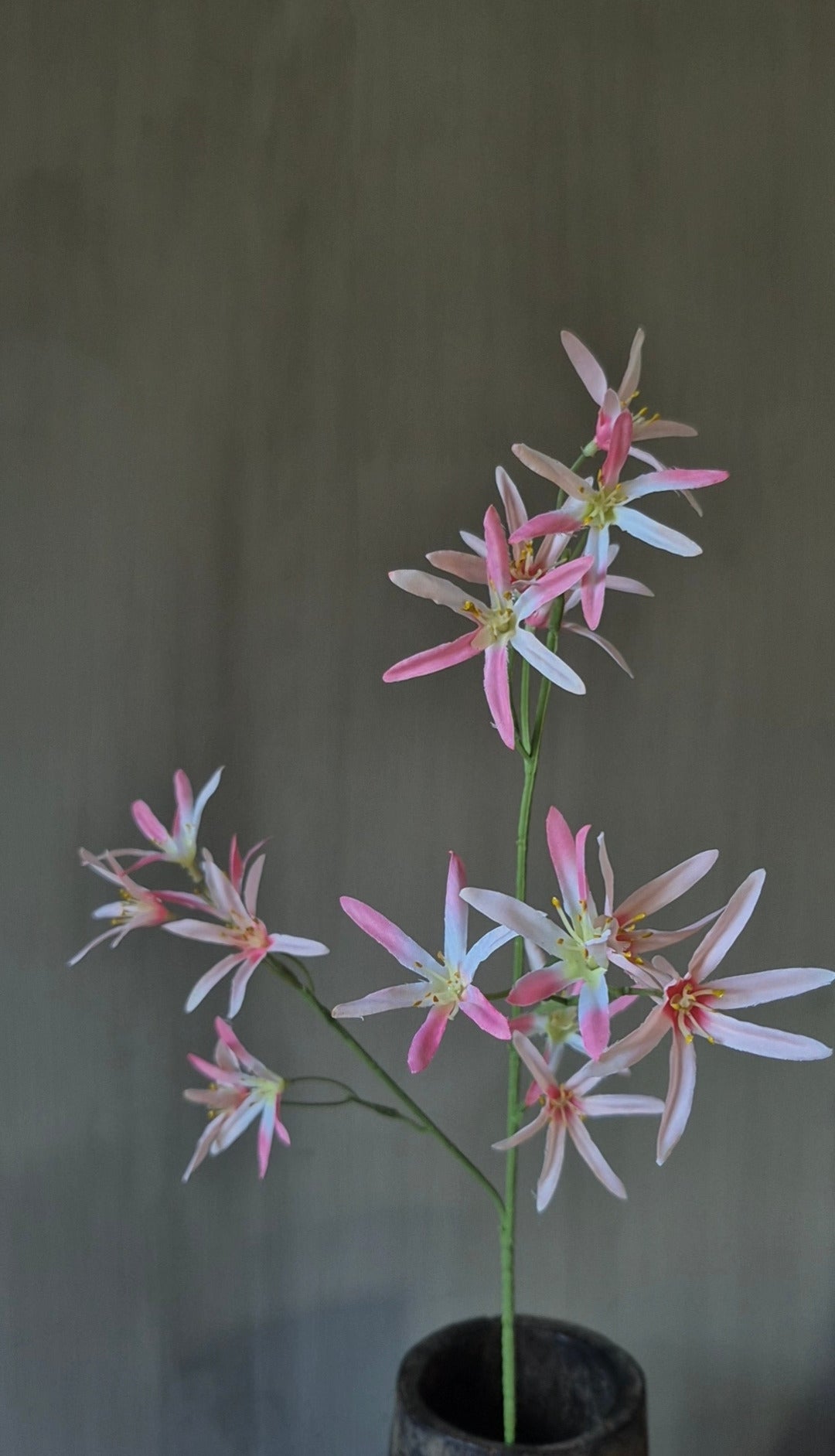 Tweedia kunstbloem lichtroze - 68 cm