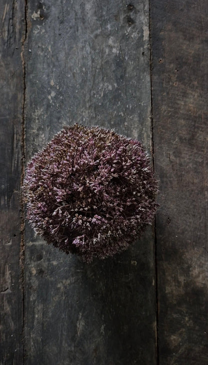 Pre-order Kunstbol eupatorium paars 11 cm
