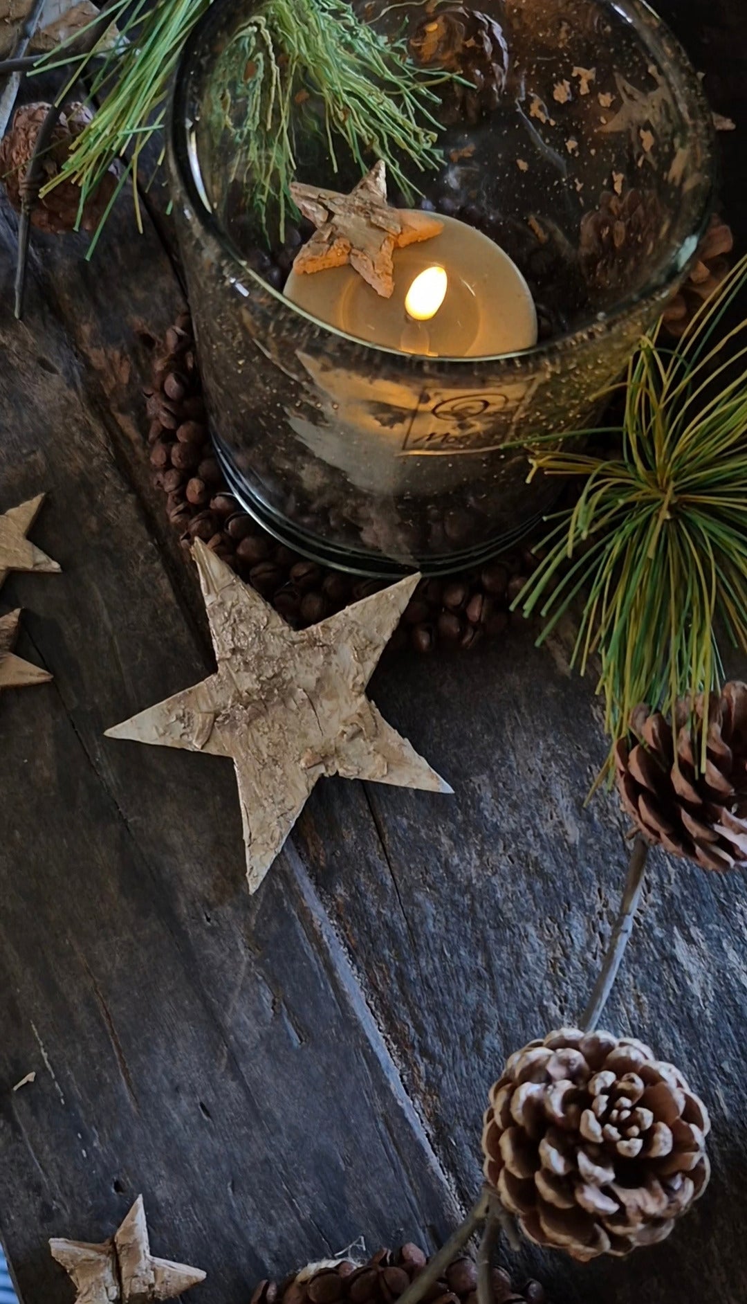 Berkensterretjes naturel met gouden gloed 9 cm – ca. 15 stuks