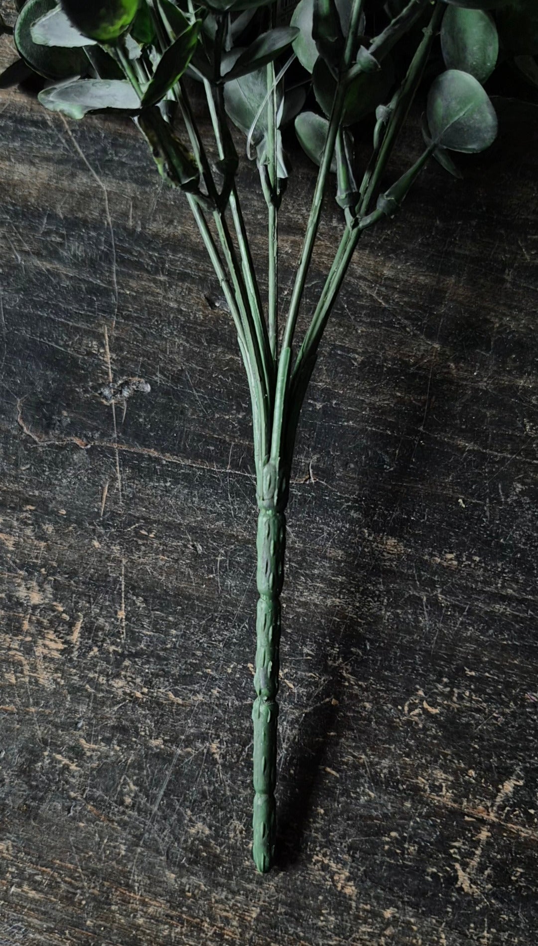 Eucalyptus bos groen 35 cm