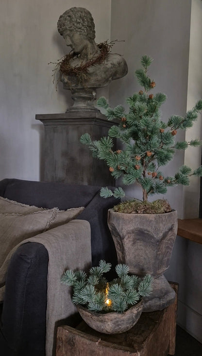 Larch wreath mini