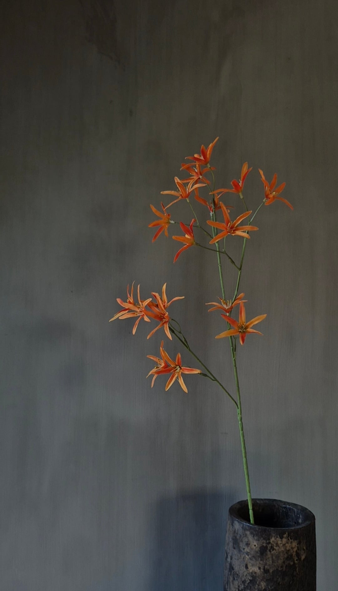 Tweedia kunstbloem oranje - 68 cm