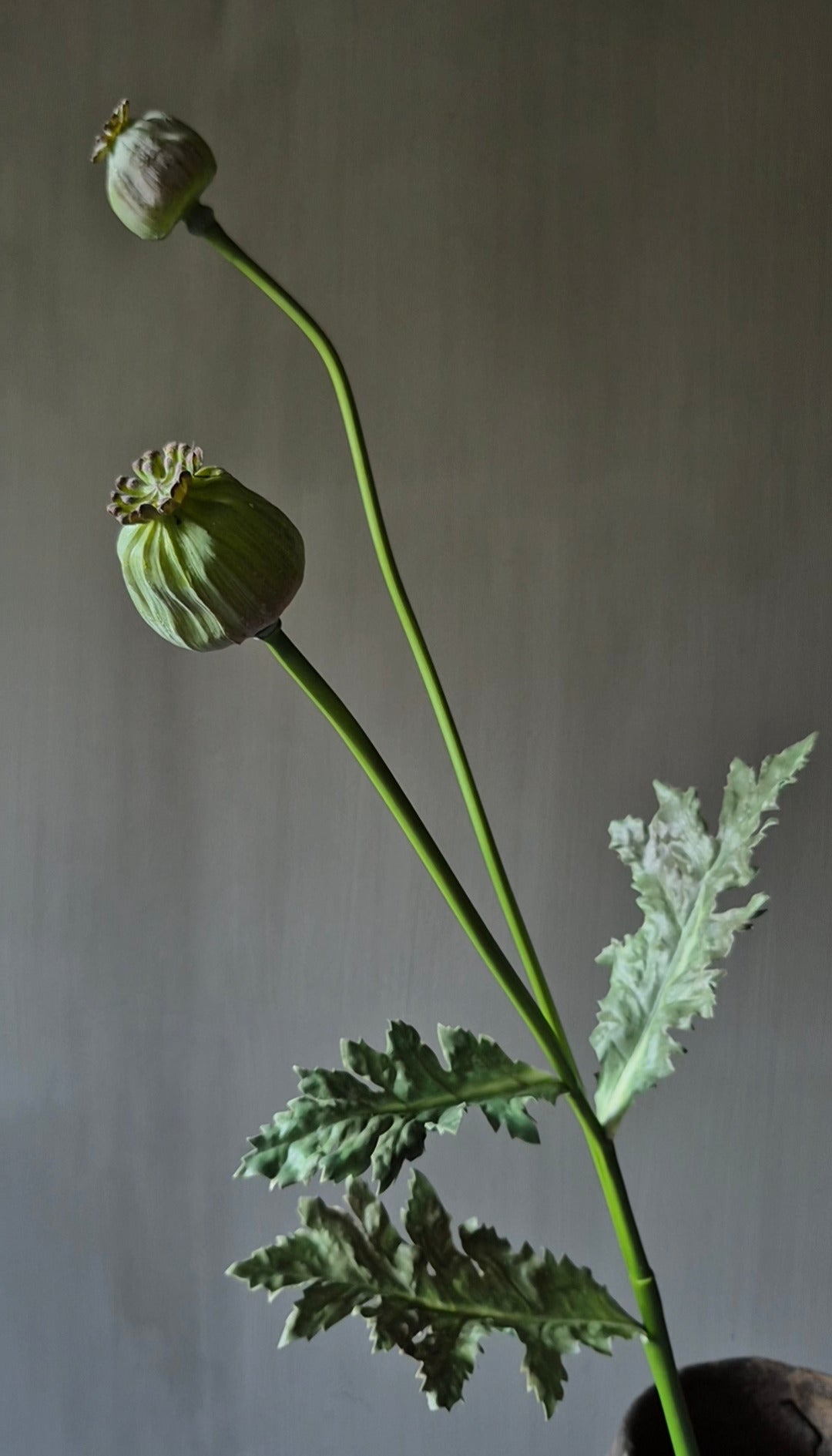 Mohn Kunstzweig grün - 78 cm