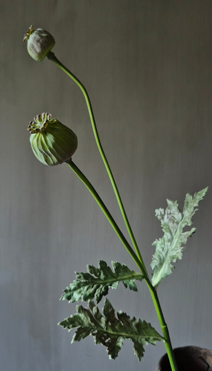 Mohn Kunstzweig grün - 78 cm