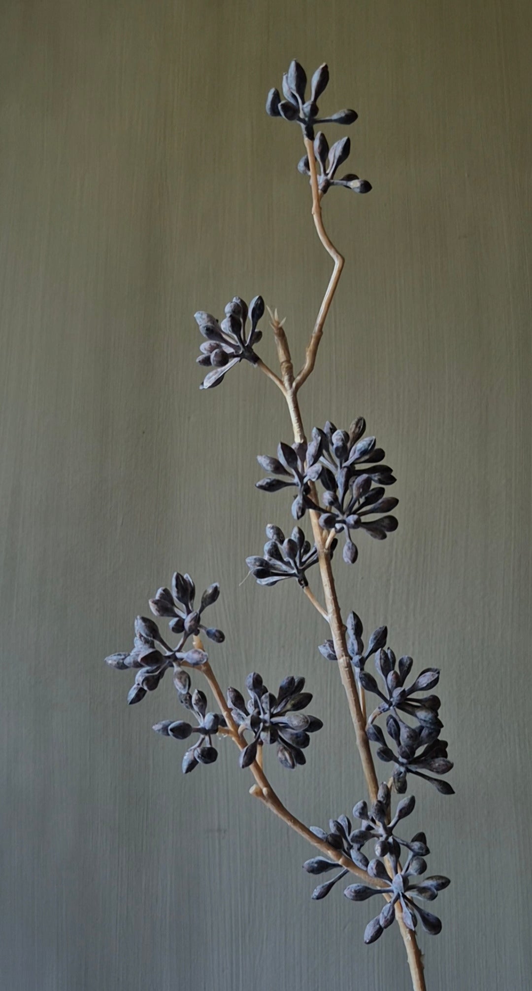 Eucalyptusvrucht kunsttak donkerbruin - 58 cm