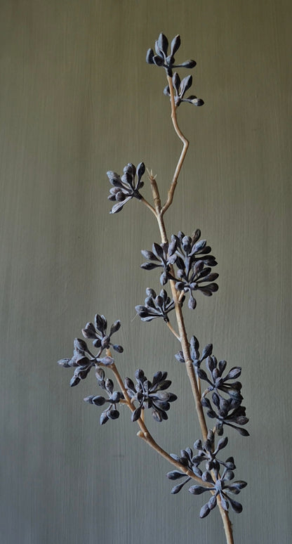 Eucalyptusvrucht kunsttak donkerbruin - 58 cm