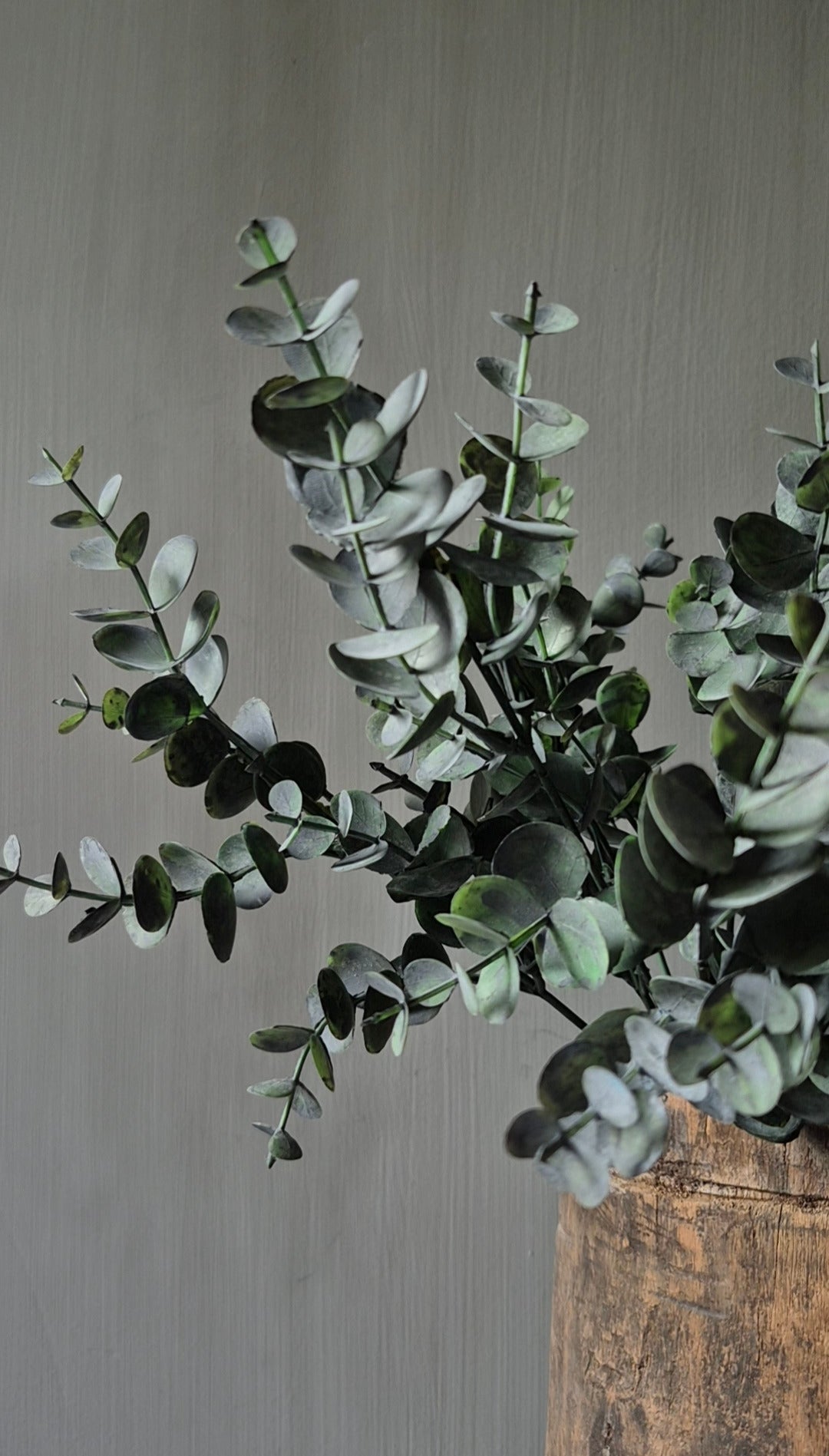 Eucalyptus bos groen 35 cm