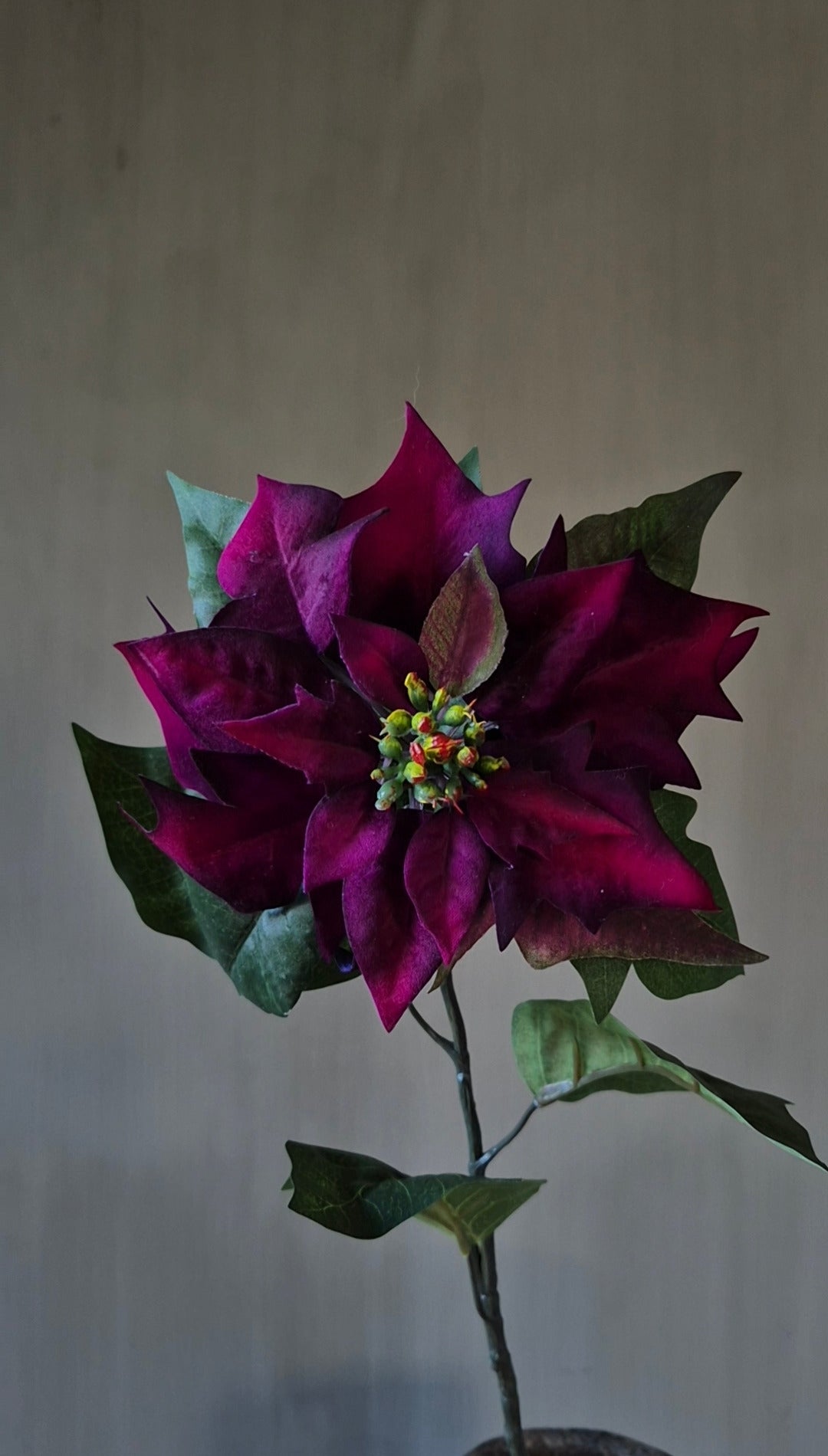 Kerstster kunstbloem donkerpaars real touch 62 cm