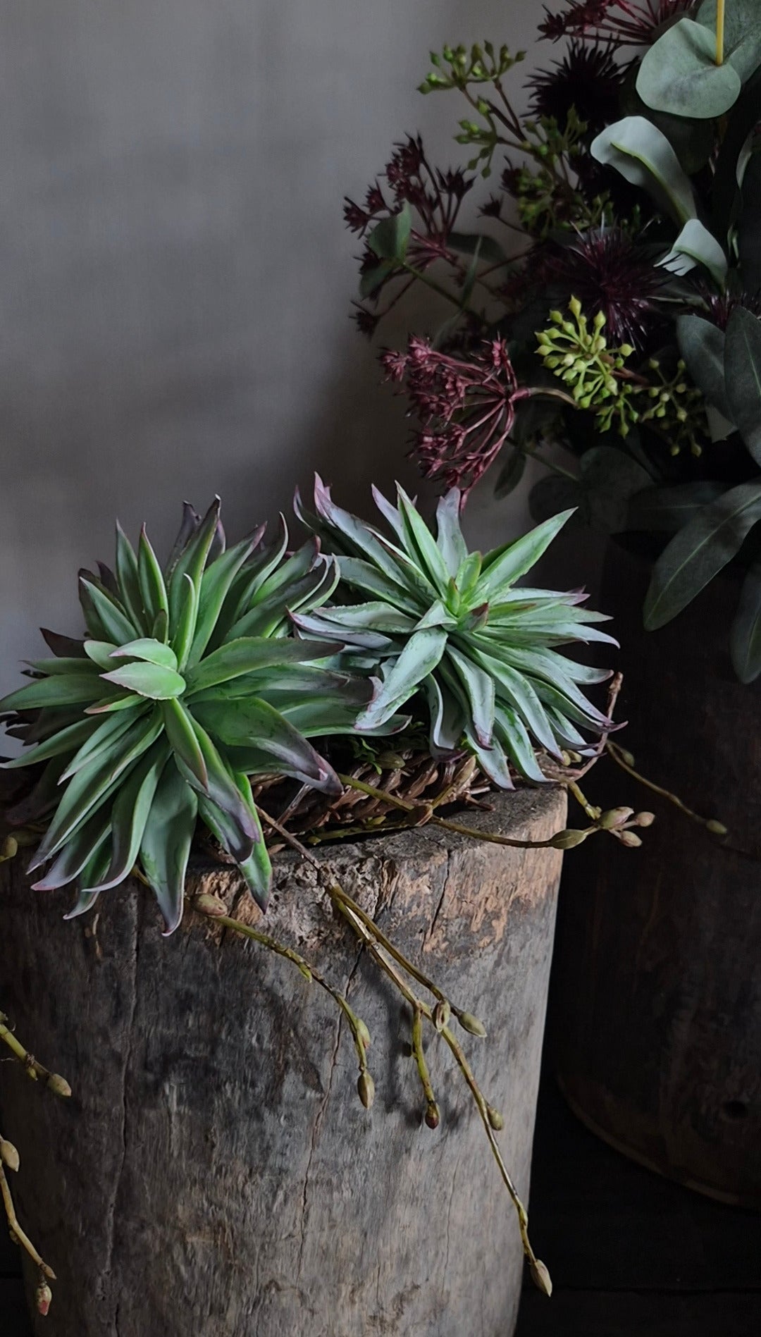 Kunst vetplant aeonium groen bruin - 13 cm