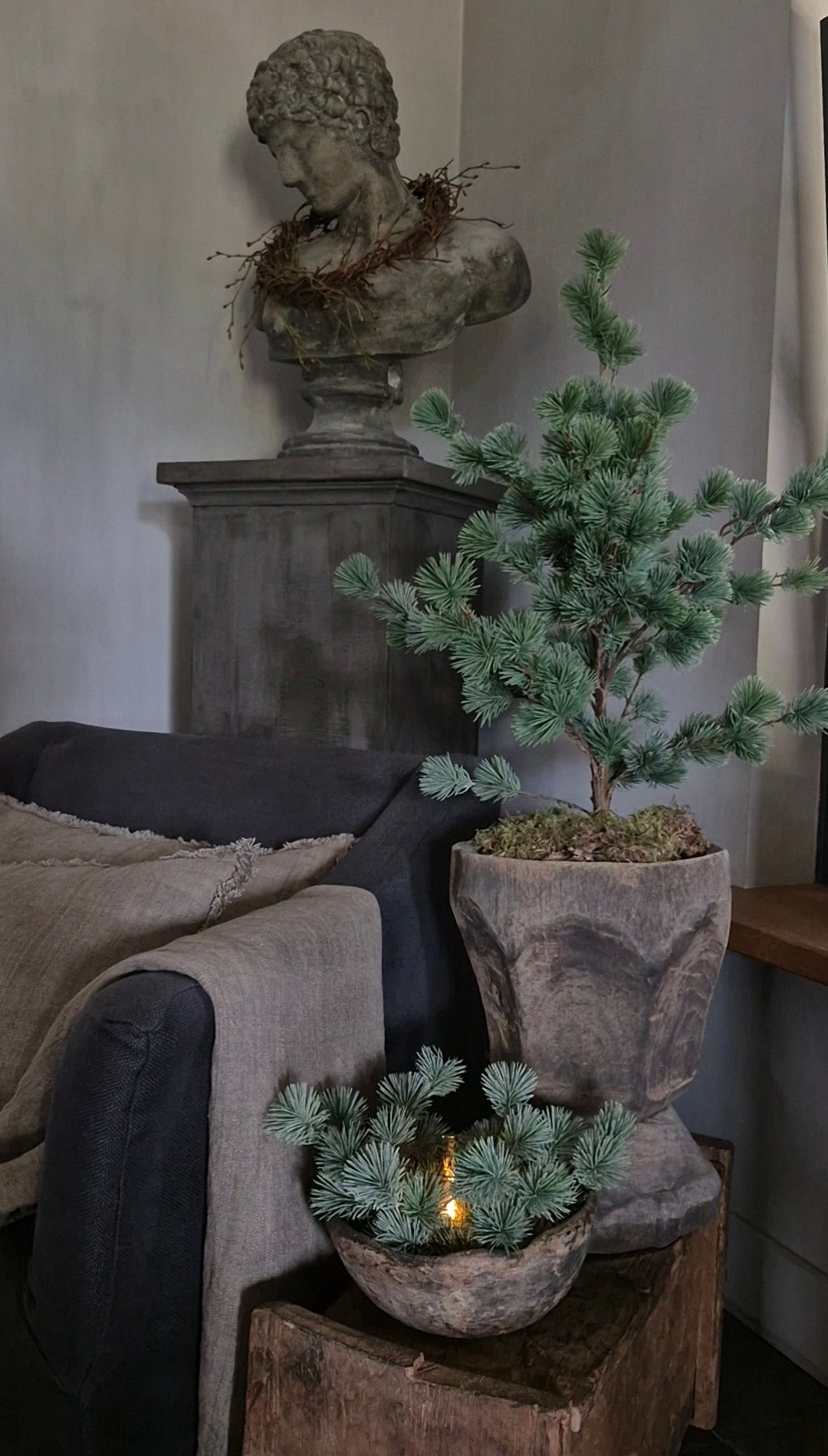 Larch wreath mini