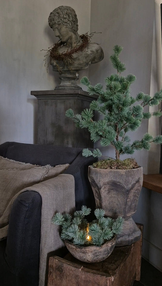 Larch wreath mini